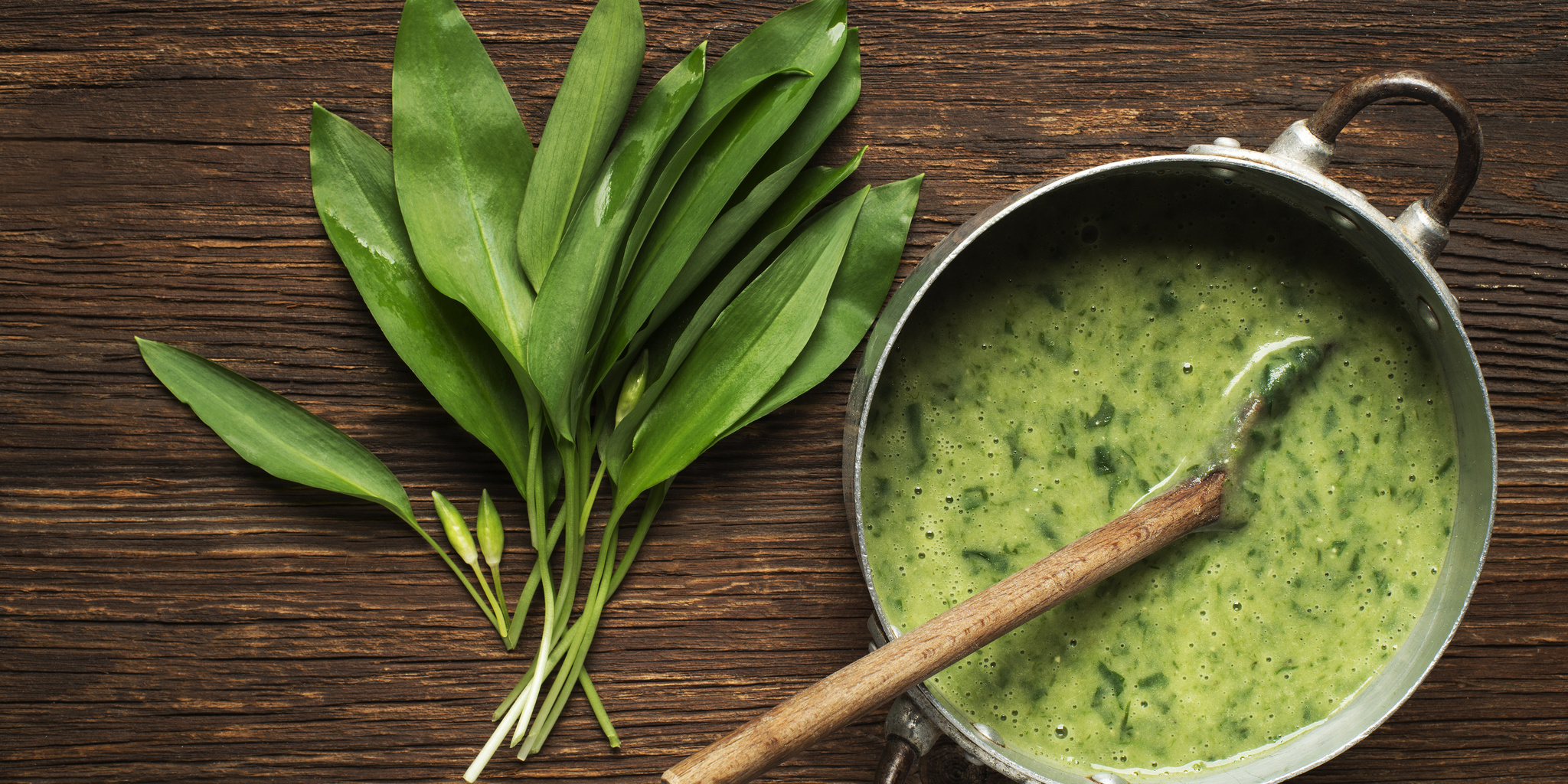 Wild Garlic Soup at foodious.com