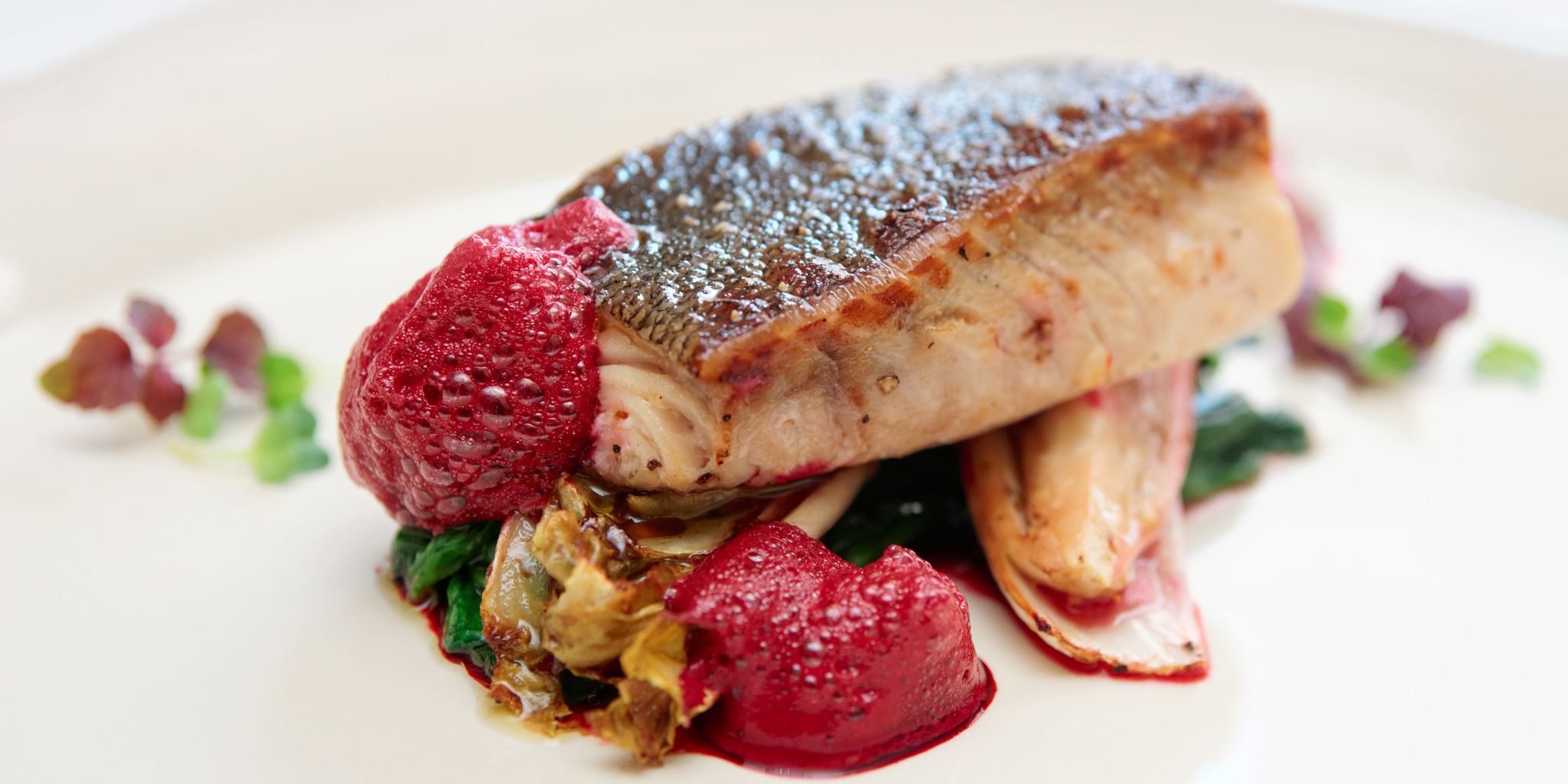 Blackened Cod with Chicory and Beetroot Froth at foodious.com