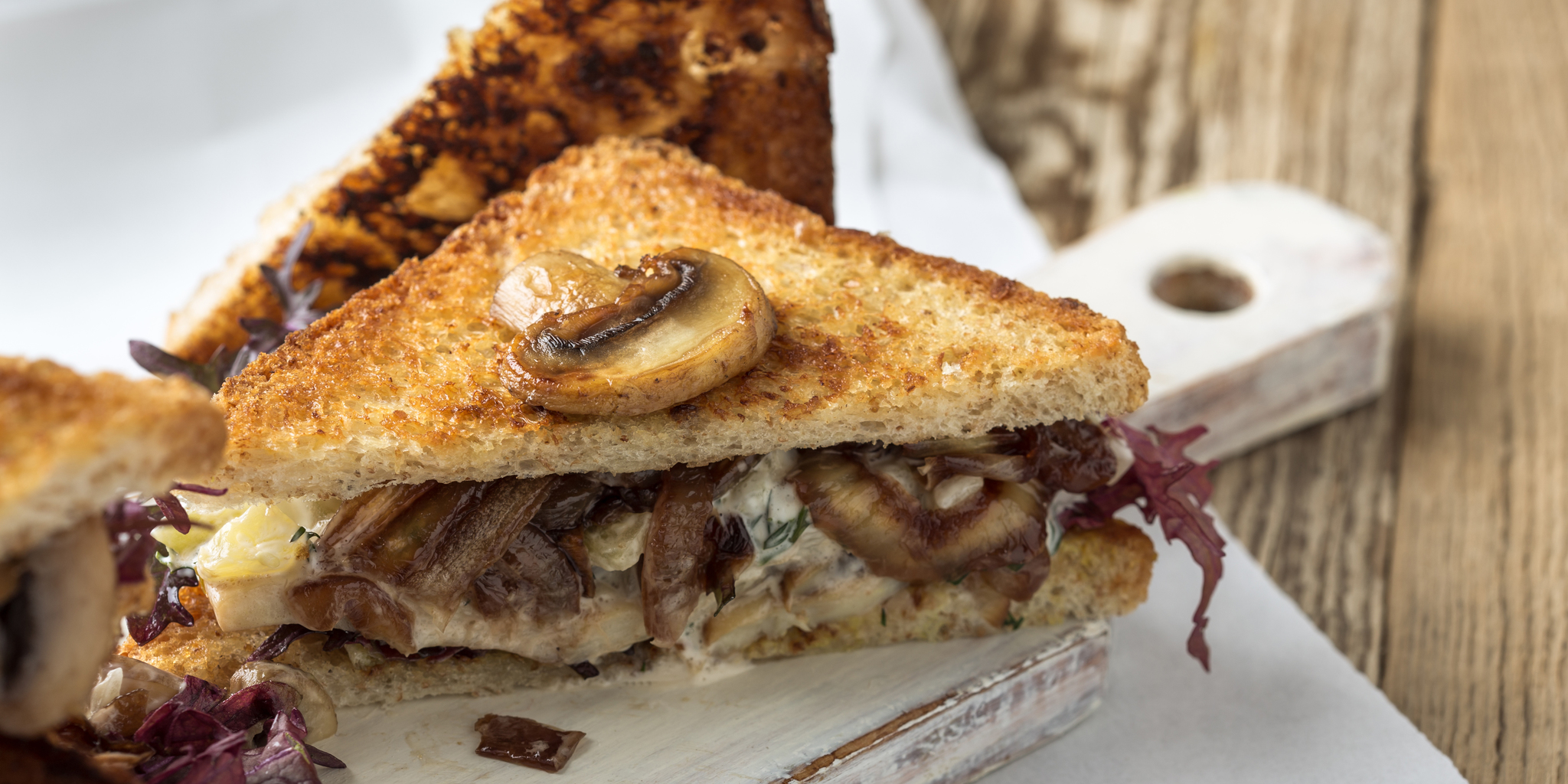 Caramelized Onion, Mushroom, and Swiss Melt at foodious.com
