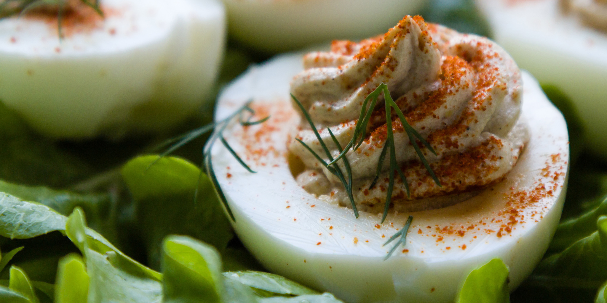 Dill Deviled Eggs at foodious.com