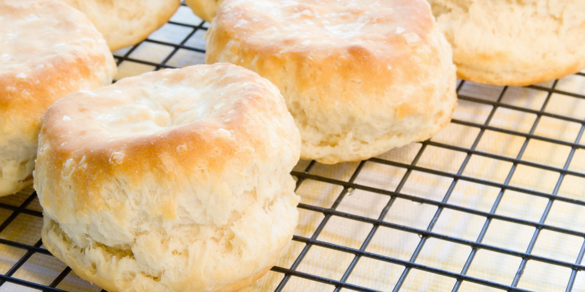 Homemade Biscuit at foodious.com
